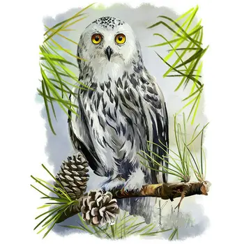 

5D Full Square rhinestones mosaic,Full Diy Diamond Animal Owl Painting Cross Stitch Diamond Embroidery animals home Decorative