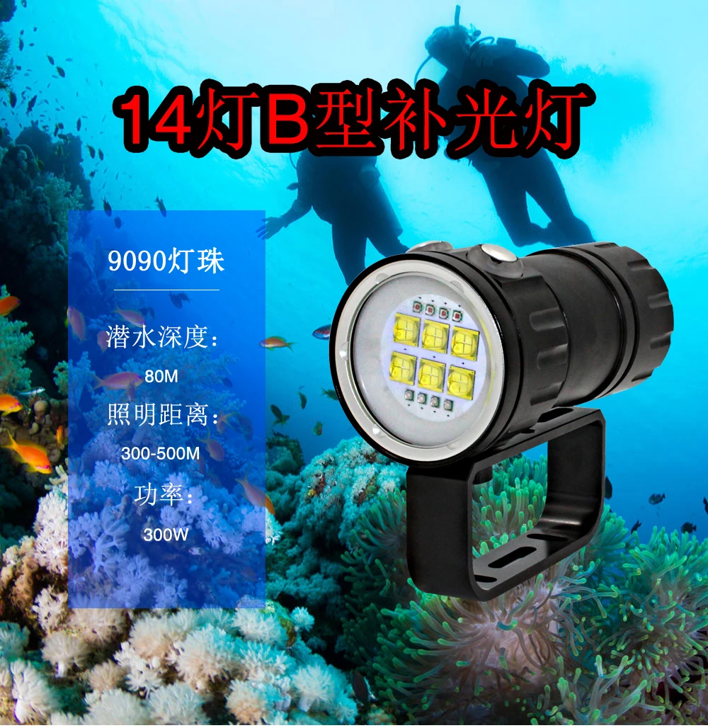 Diving Light