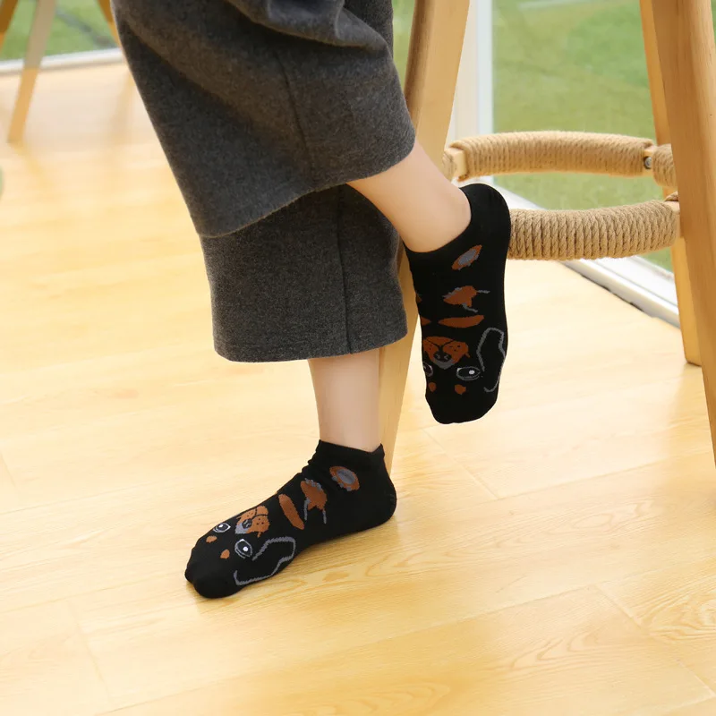 4085853079_650976612