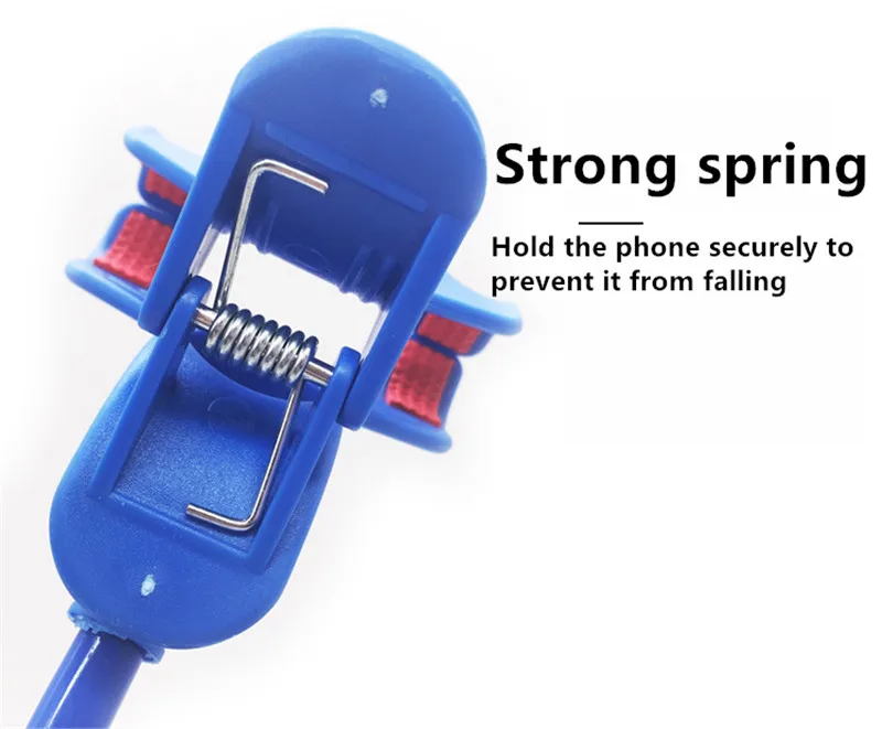 7857682197_1122273046