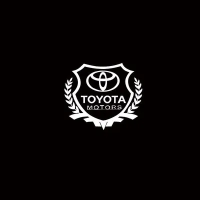 Дикий кабан DJ metal sticker logo TF2 Hynix Toyota SG4 SR4 | Игрушки и хобби