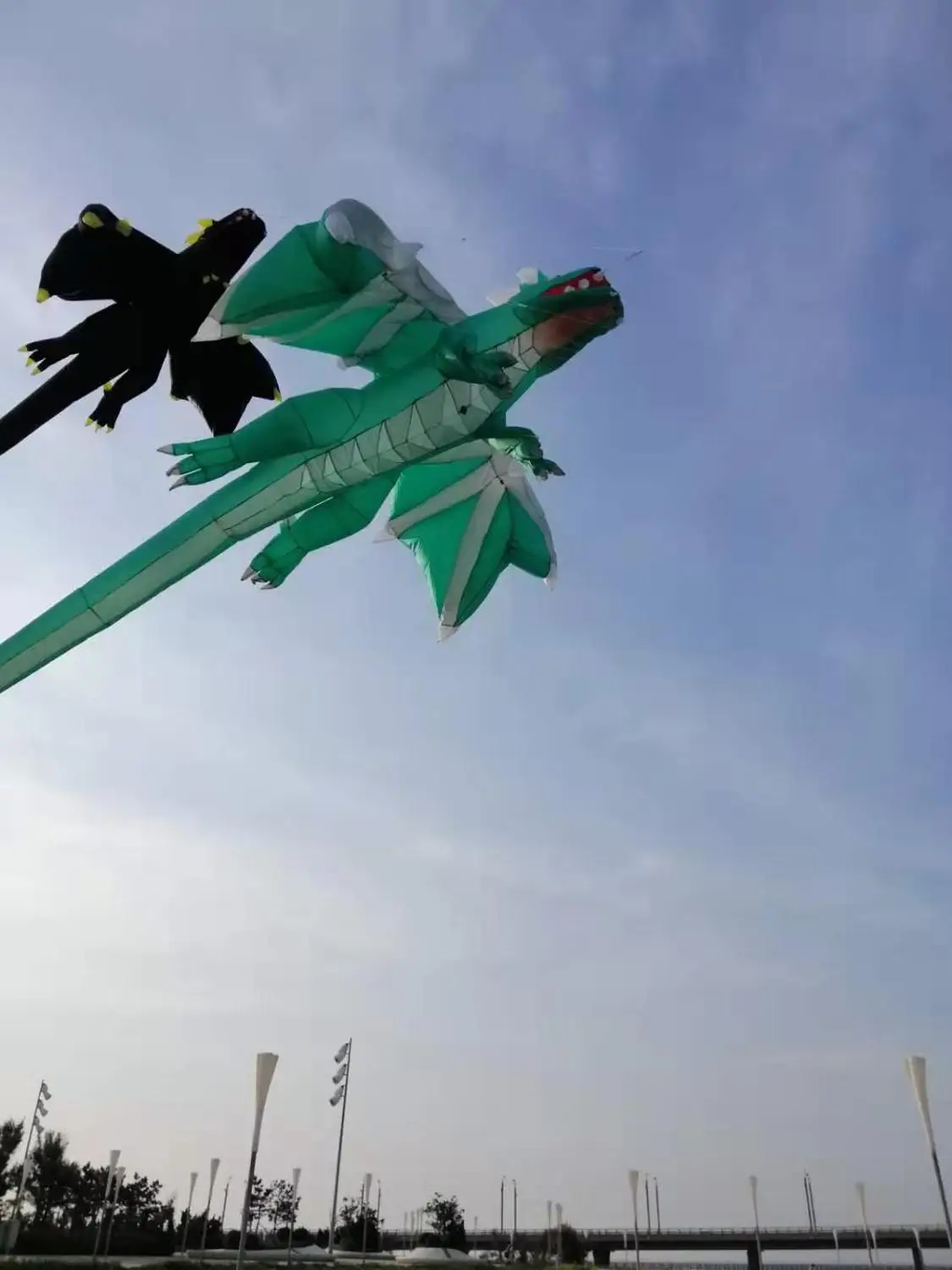 

dragon 3d shark cerf volant vlieger kites for adults kite flying cometas para adultos windsock soft kite flying ripstop koi fish