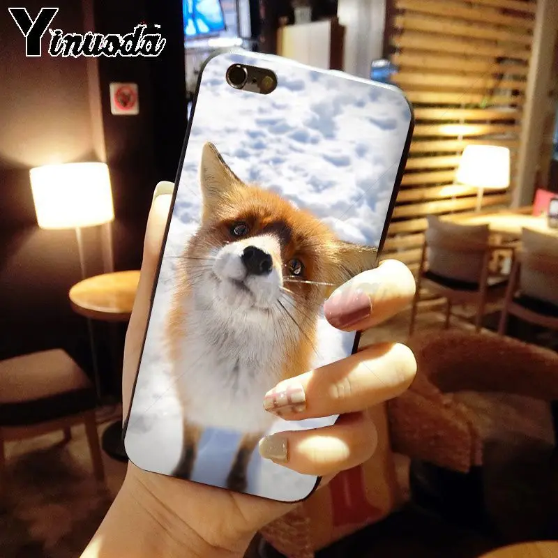 catoon cute lovely fox animal