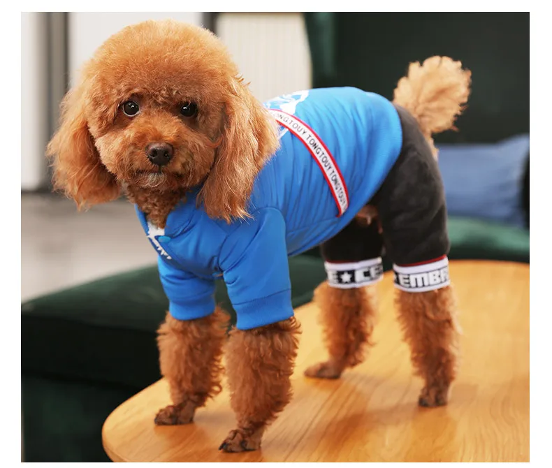 HOOPET Одежда для собак Хлопок Щенок четыре ноги свитера пальто щенок одежда наряд для чихуахуа товары для домашних животных
