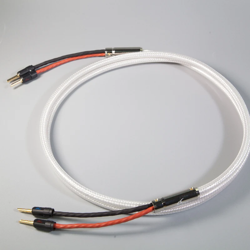 M-8SPB8008004
