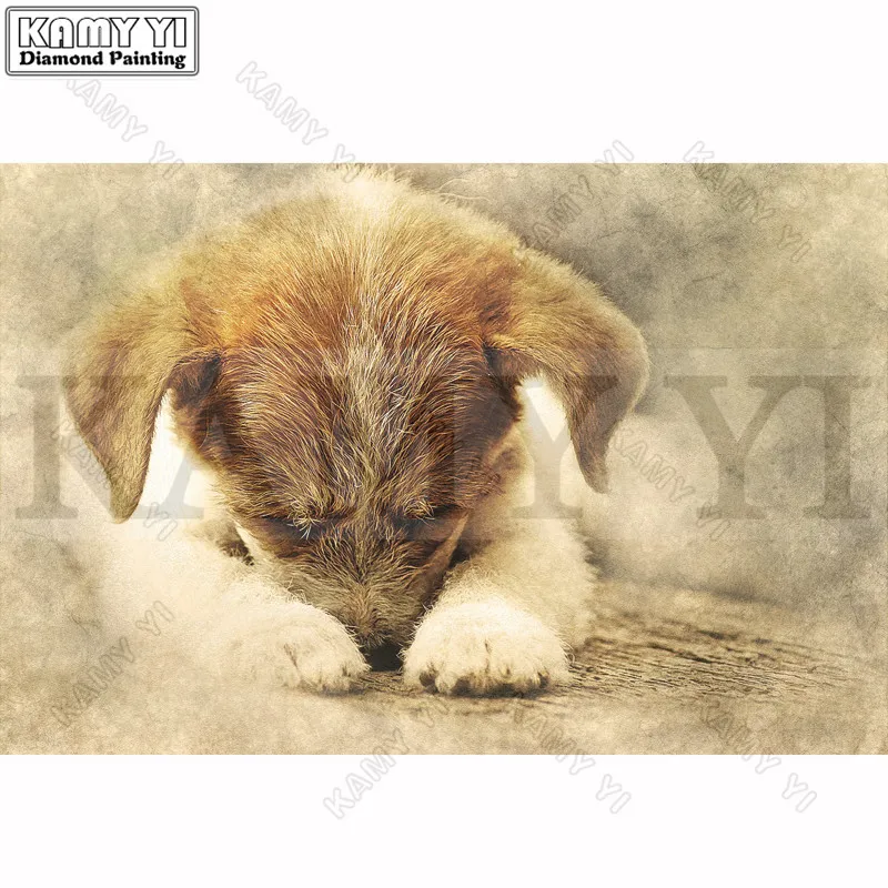 dog-2459959_1280