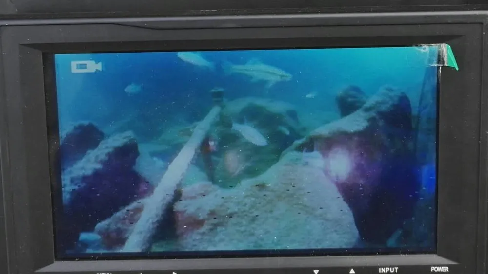 mmexport1451125454351