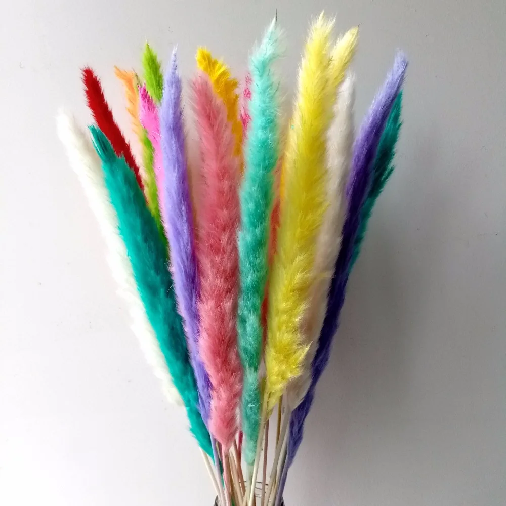 

Natural Dried Pampas Grass, Phragmites Communis,Mixed Colors,Wedding Flower Bunch, 24'' Tall for Home Decor
