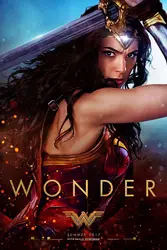 Бесплатная доставка Wonder Woman фильм плакат ткань Шелковый плакат печать украшения дома 60x90 см