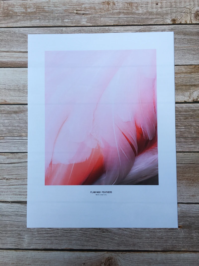 微信图片_20190402164716