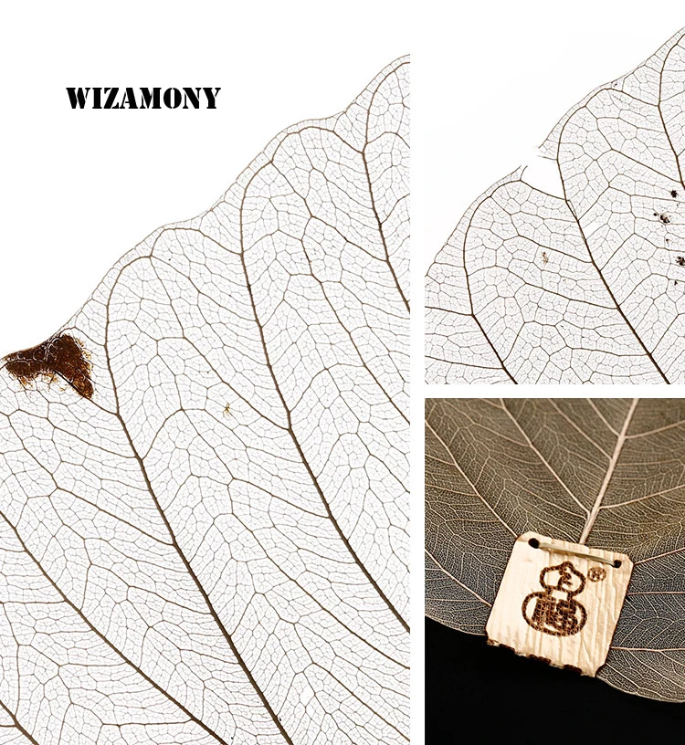 TB2dtEYaetTMeFjSZFOXXaTiVXa_!!164195229