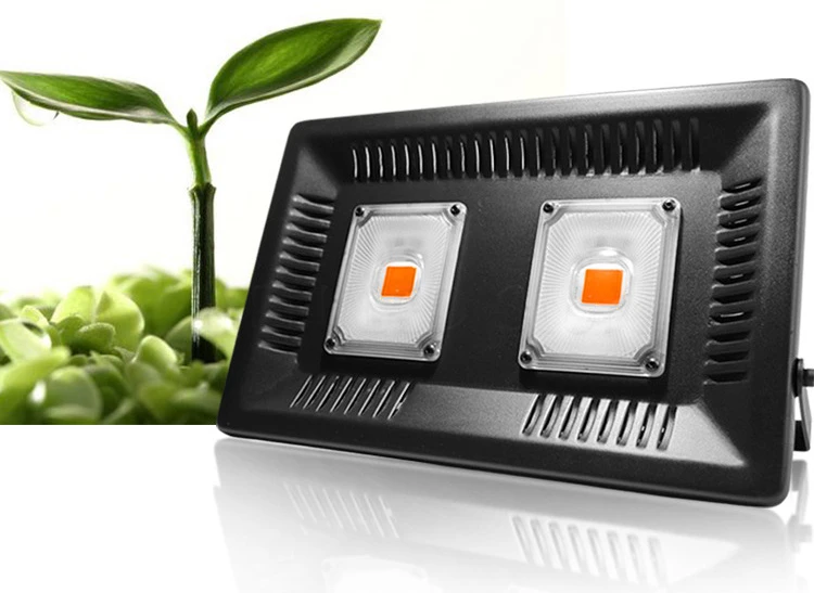 8777585116_1898458457