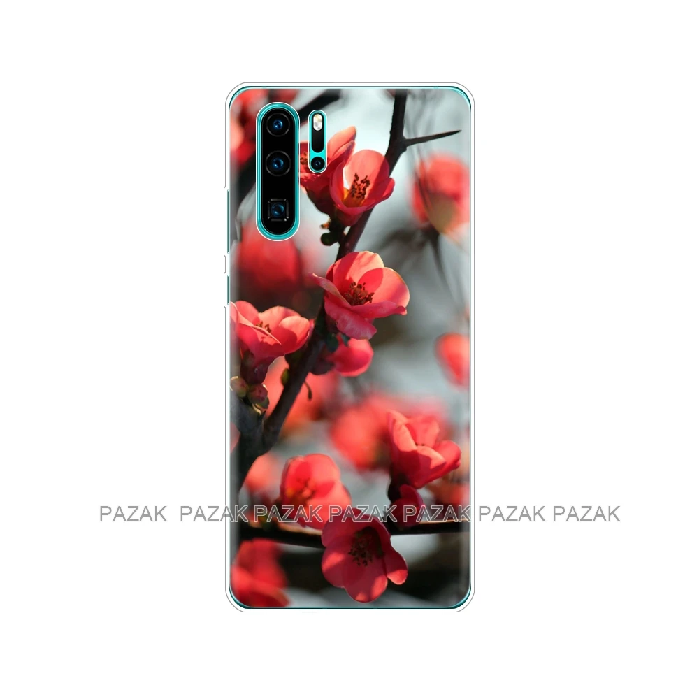 Чехол-Бампер для Huawei P30 Pro, мягкий силиконовый чехол для телефона из ТПУ, задняя крышка для Huawei P30 Pro VOG-L29 ELE-L29 P 30 Lite, чехол с принтом - Цвет: 61350