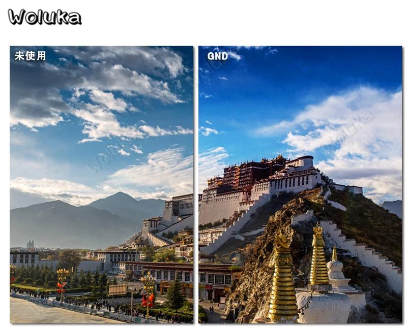 36020190328113309384