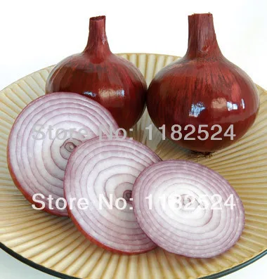 Conservor - (F1) Shallot Seed