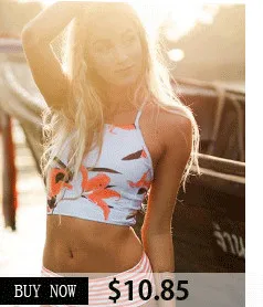 C-_Users_Administrator_Desktop__1_-2_01