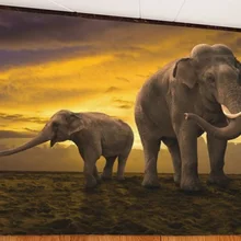 CAMMITEVER 3D Слоны диких животных Carprt коврик, матрас, Ковер Коврик противоскользящий стул диван Чехол для спальни домашний декор