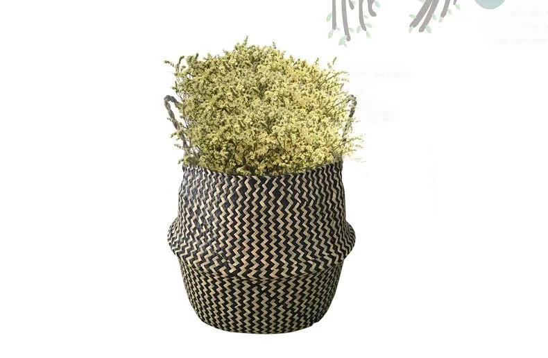 9473088881_2060201511