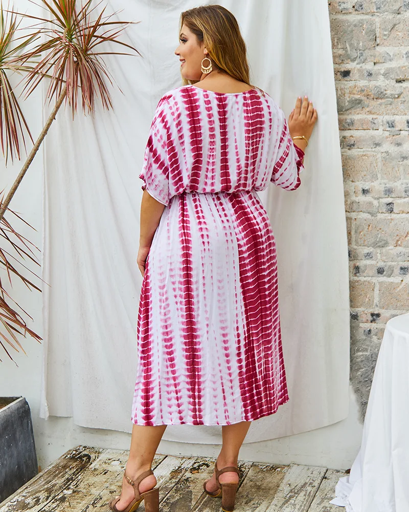 Plus Size Dress (14)