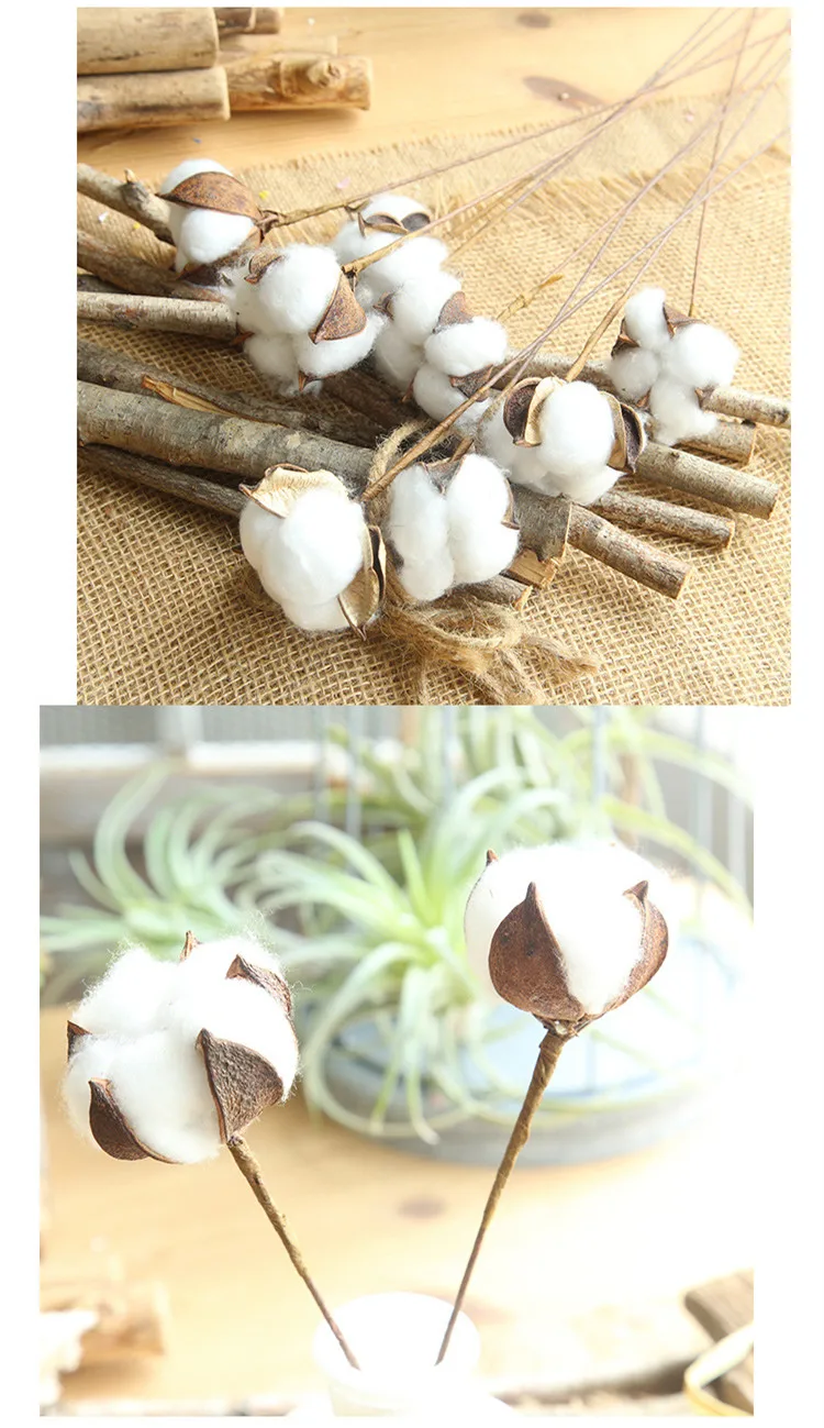 HTB1w73nmScqBKNjSZFgq6x_kXXaI