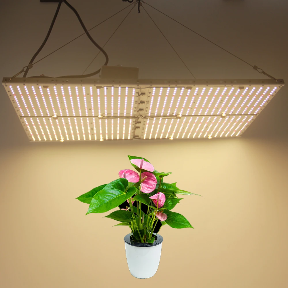 480W 660nm Led Grow Light quantum board LM301C S6 288 шт чип полный спектр samsung 3000K Veg/Bloom state Meanwell