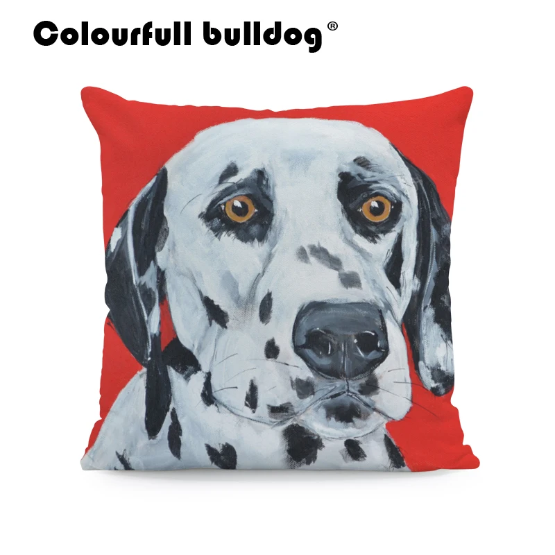 AB9166 (7) spotty dog