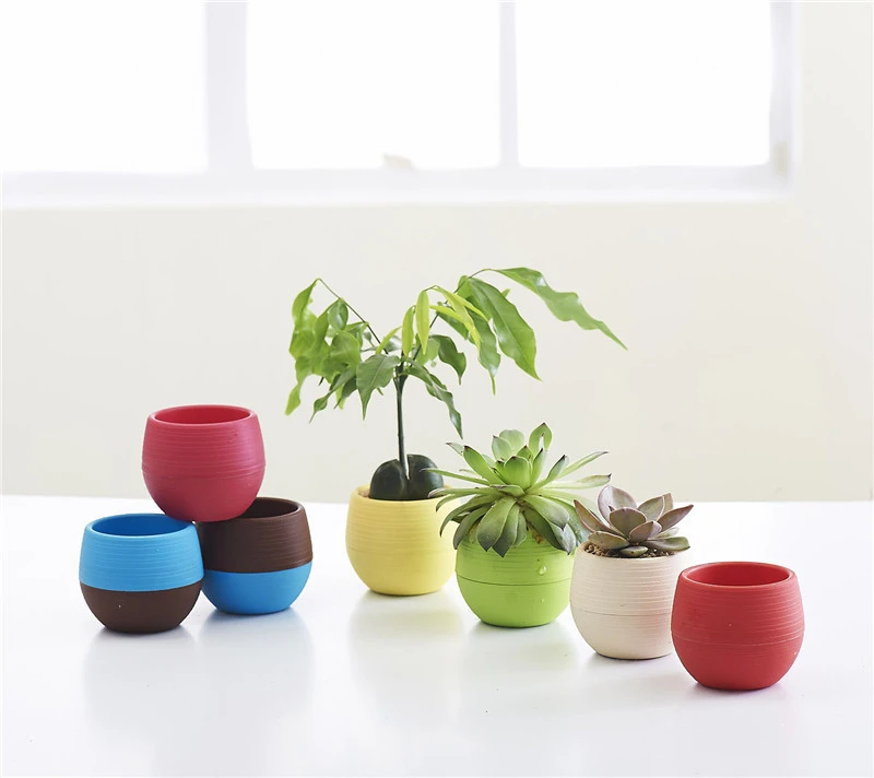 Home Decoration Wall-Mounted Flower Pot Gardening Flower Pots Creative Wall Hanging Lazy Flower Pots New Plastic Flower Plate Color: Light Blue, Sheet Size: Large Home Decoration Wall-Mounted Flower Pot Gardening Flower Pots Creative Wall Hanging Lazy Flower Pots New Plastic Flower Plate Color: Light Blue, Sheet Size: Large
