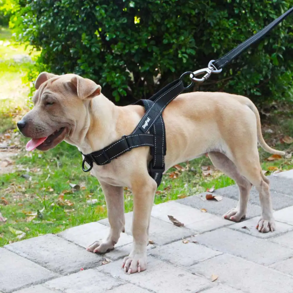 Регулируемый поводок для собак маленький средний большой собаки Светоотражающая не тянет тренировочная безрукавка воротник для домашних животных для прогулки с собакой жгут - Цвет: Черный