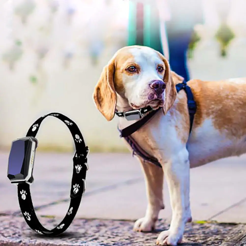 Pet Puppy GPS365 Bluetooth WiFi трекер в реальном времени Отслеживание Местоположения анти-потеря воротник