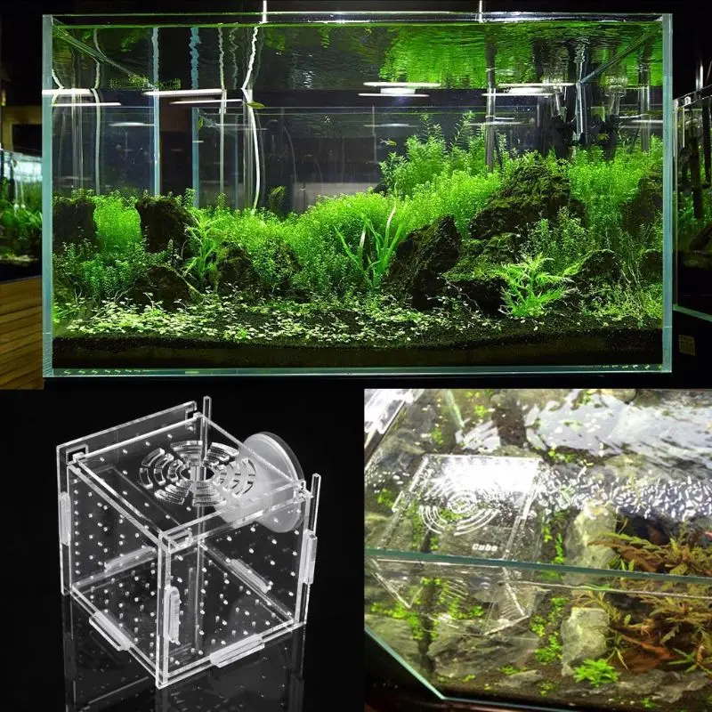 

Acrylic Aquarium Fish Breeding Isolation Box Baby Fish Incubator Hatch Breeder Fish Tank