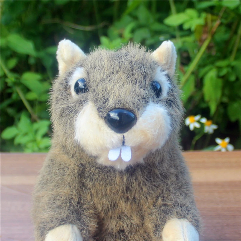 kawaii simulation animal groundhog plush doll mini soft quality groundhogs toy for baby gift 20cm DY50189 (7)