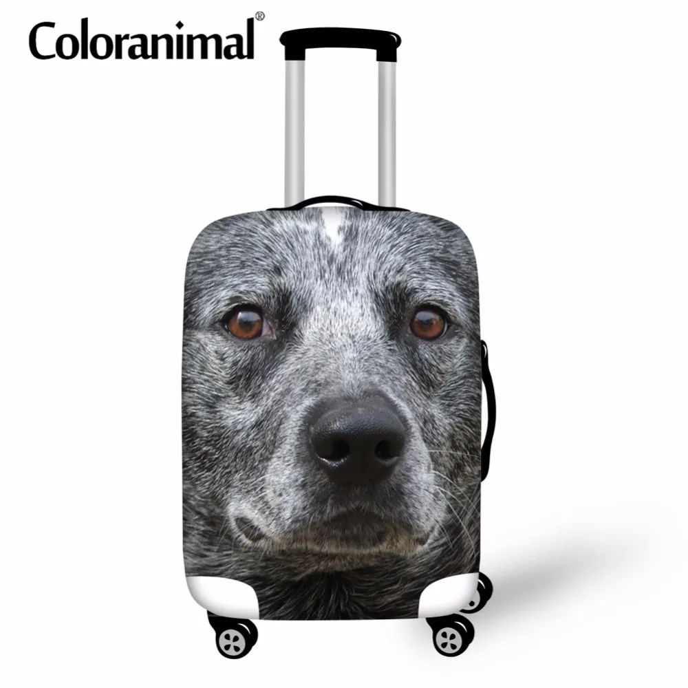 

Coloranimal Cute Pet Dog Pattern Travel School Protect Luggage Cover Australian Cattle Dog Suitcase Case Bag Suit for 18-30 Inch