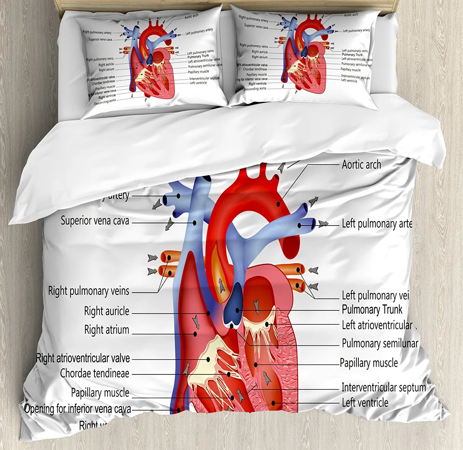 

Educational Duvet Cover Set Medical Structure of the Hearts Human Body Anatomy Organ Veins Cardiology 4 Piece Bedding Set