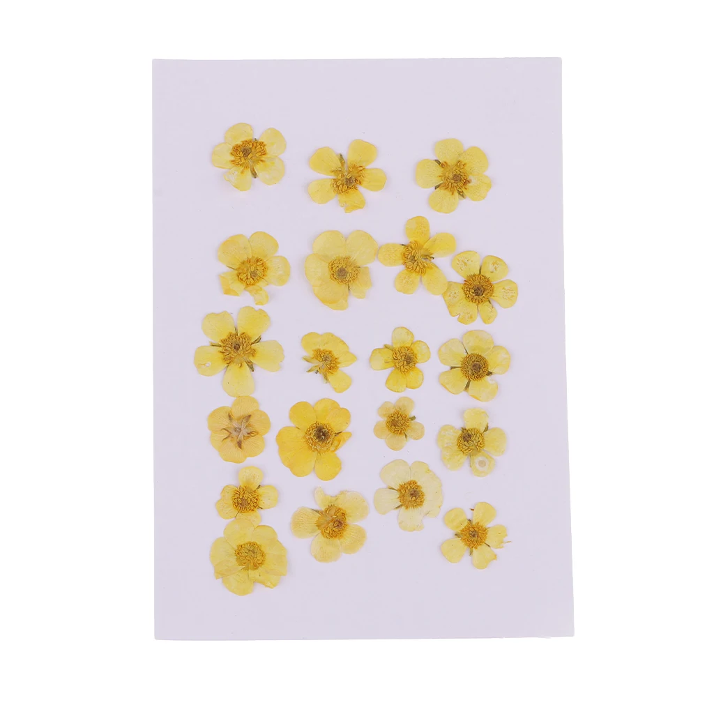 Pack of 50pcs Natural Dried Flower Real Flower Mixed For DIY Resin Ornament Craft Card Making Scrapbooking Embellishments