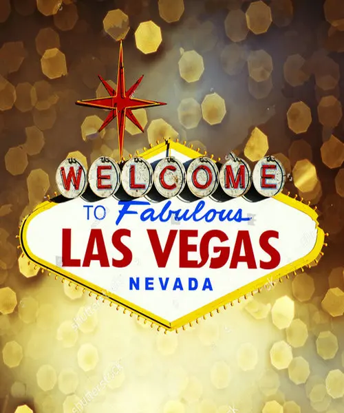 

Las Vegas Party Neon Sign bokeh background Vinyl cloth High quality Computer print wedding backdrops