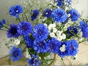 

5D Diy Daimond Cornflower Cross Stitch Square/round Rhinestone Full Drill Painting Embroidery Flower Picture By Numbers