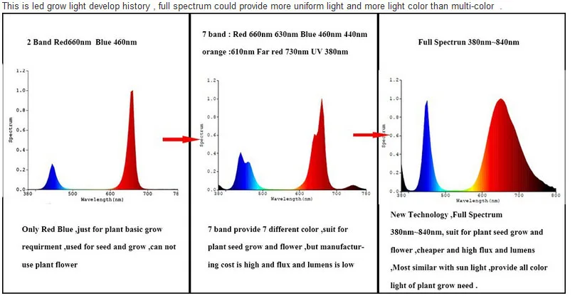 Slide image 306f536b215846ea91782bc8cf73d9f4