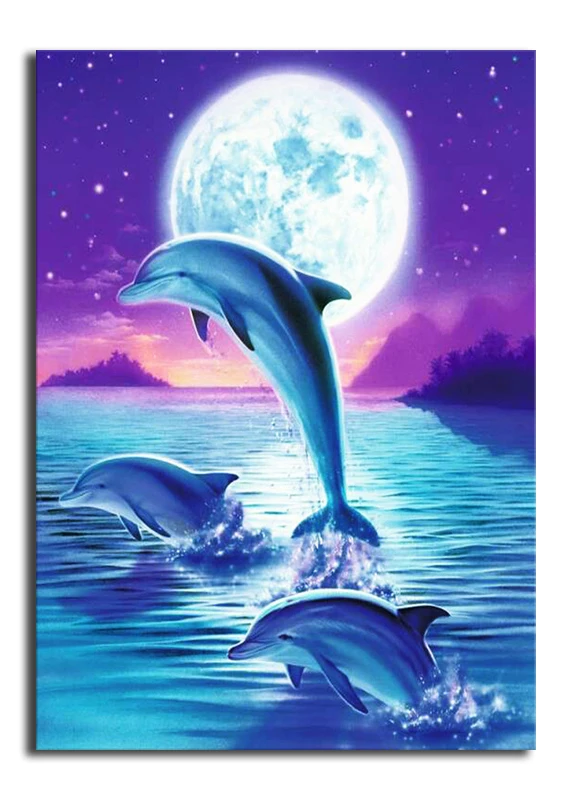 HTB15EBDd0LO8KJjSZFxq6yGEVXaa