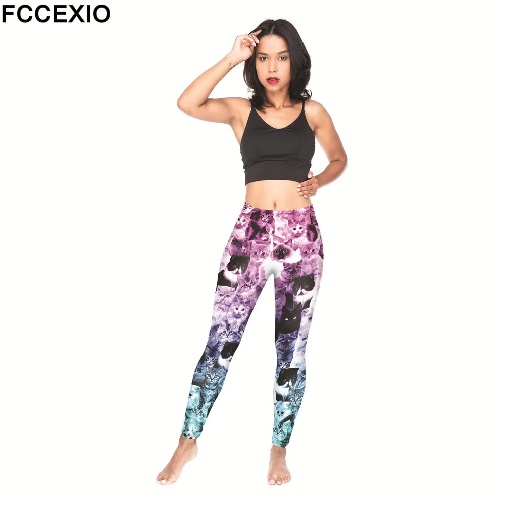 52176 CATS OMBRE PINK (5)