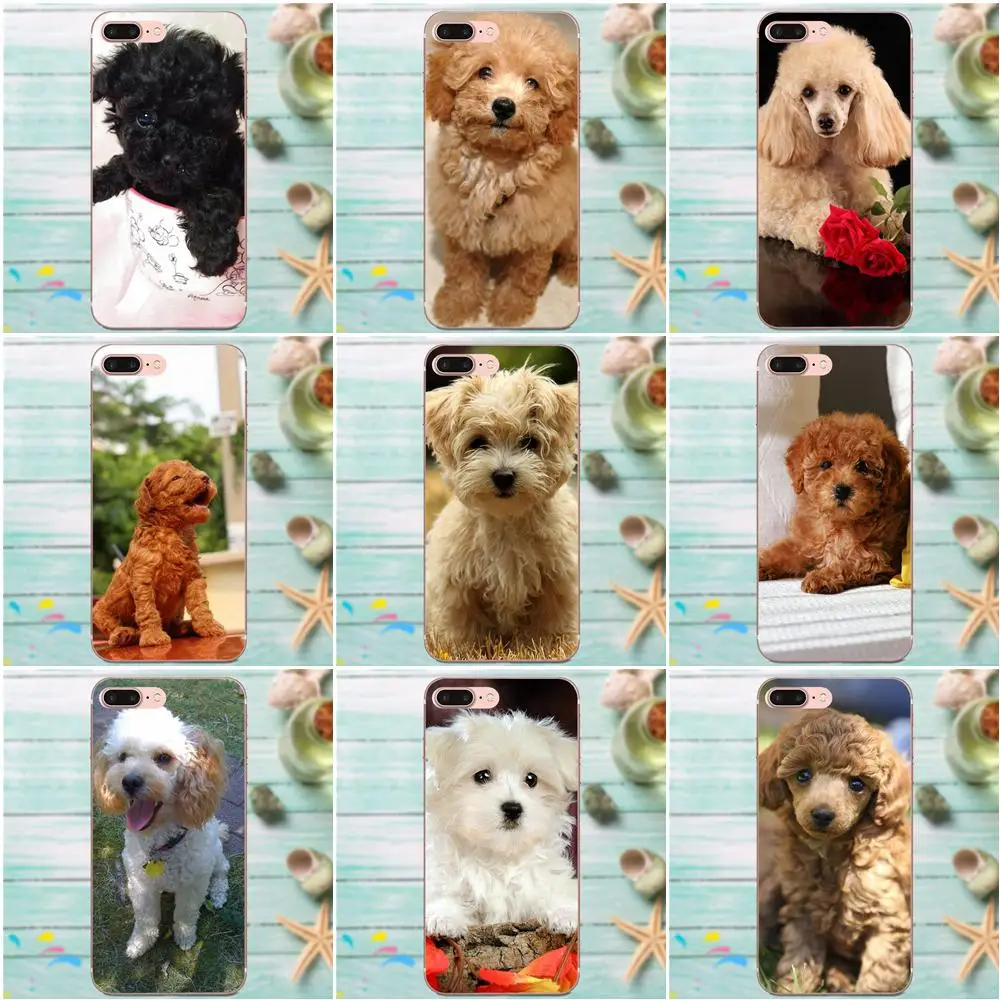 

For Apple iPhone 4 4S 5 5C 5S SE 6 6S 7 8 Plus X XS Max XR TPU Design Phone Toy Poodle Dog Puppy