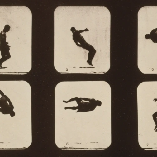 Muybridge Locomotion  Twisting Somersault  1881 Poster Print by Science Source (36 x 24)