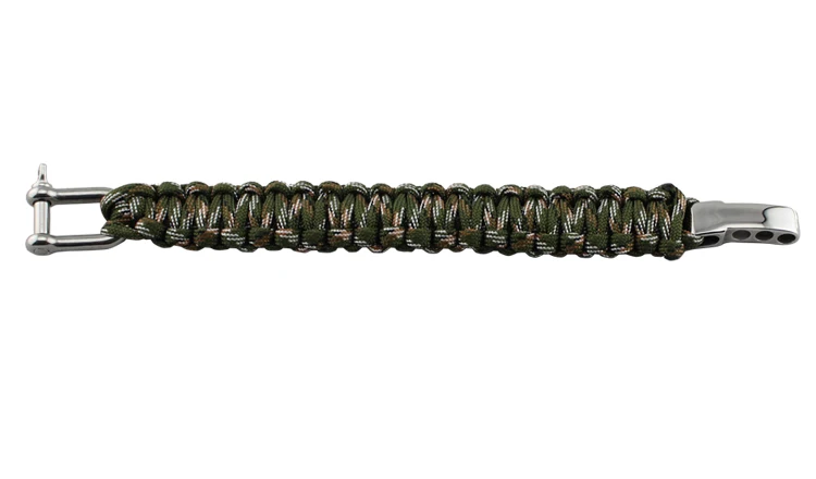c1