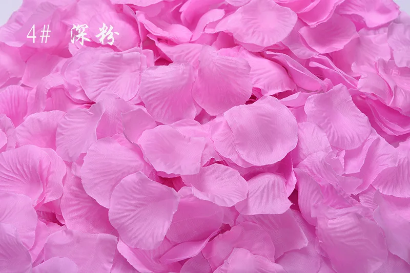 2932568587_405463345