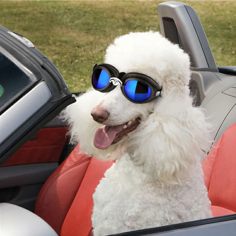 

Adjustable Pet Dog Sunglasses Fashion Goggles Waterproof Windproof Eye Wear Protection UV Sun Glasses for Medium Large Dogs