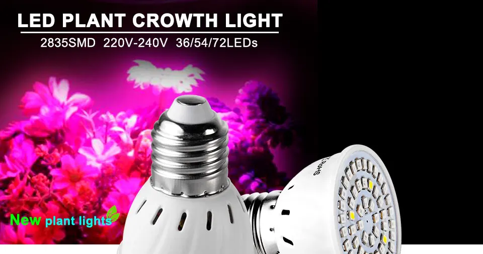 phyto lamp (1)