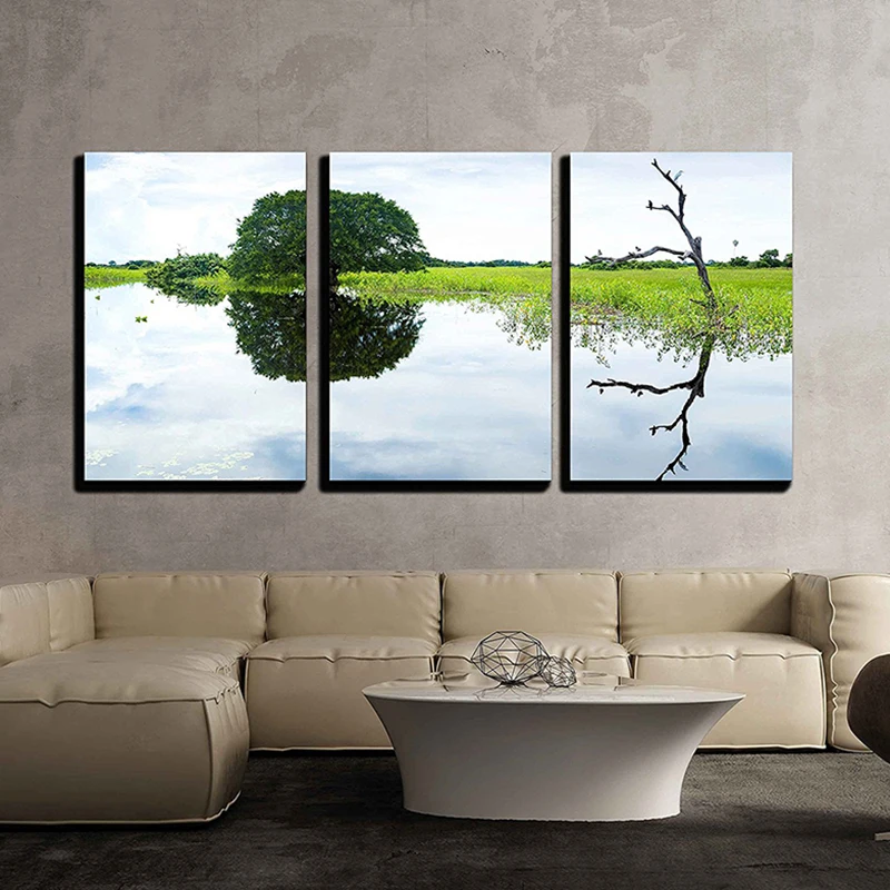 

Wetlands In Pantanal Brazil Diamond Painting Full Round Diamond Embroidery Cross Stitch Handmade Needlework Wall Decor 3pcs