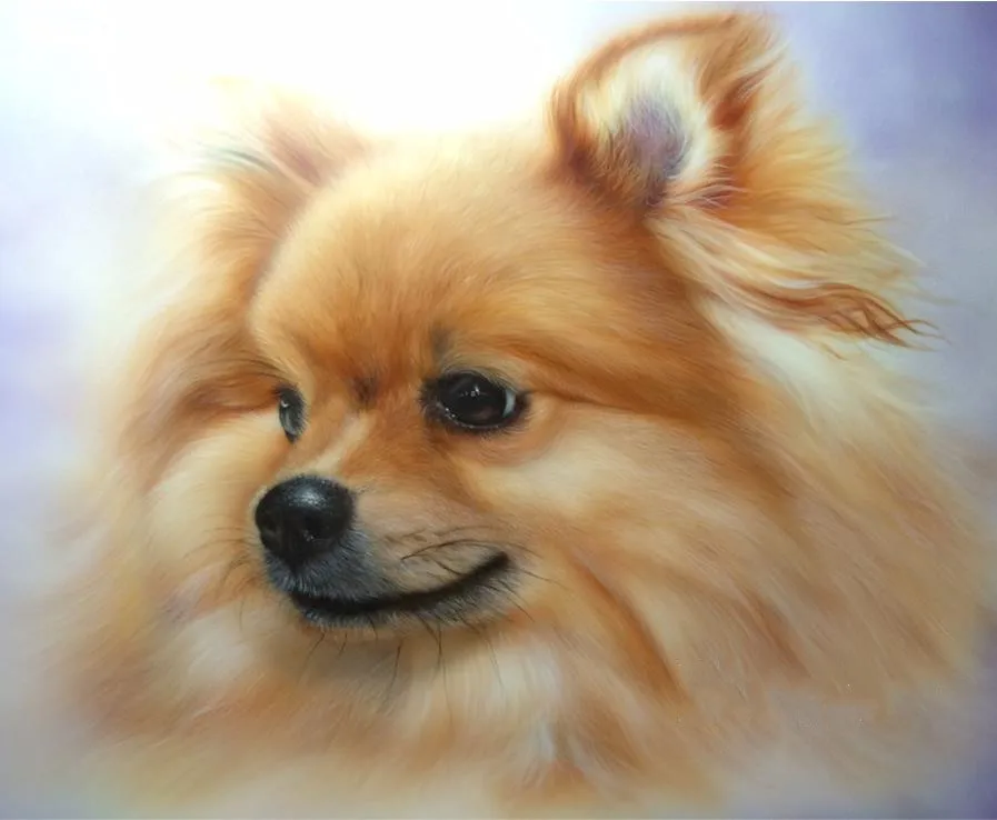 

Direct Selling,full square 5d Diy Diamond Painting Cross Stitch "Pomeranian"3d pictures Mosaic Full Square Round Diamond Embroid