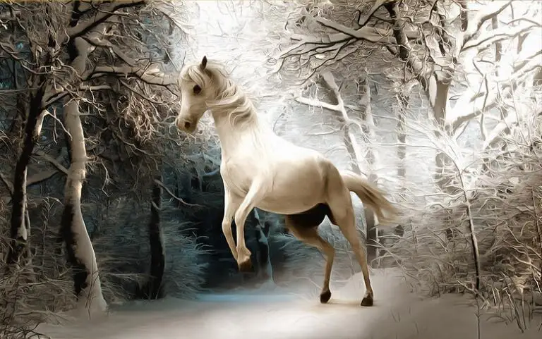 High Quality Renovação da Casa