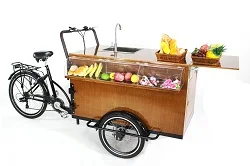 3 Wheel electric pedicab rickshaw passenger cargo bike tricycle bicycle