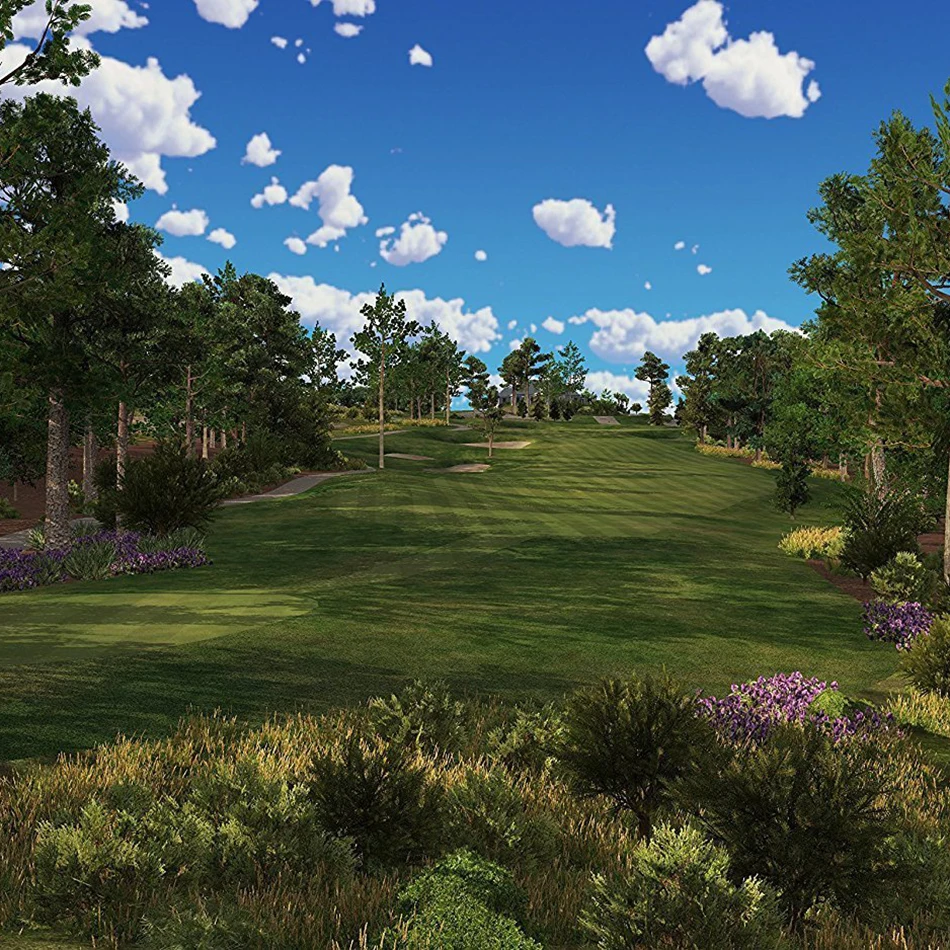 Tittle Micro Golf swing Simulator TruGolf Edition Air набор для гольфа премиум класса двойная лицензия|golf